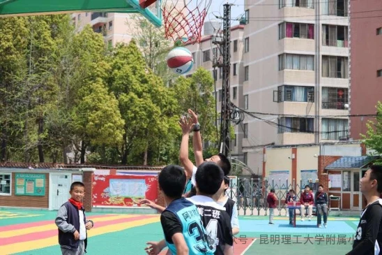 篮球封闭训练中的体能提升方案_2
